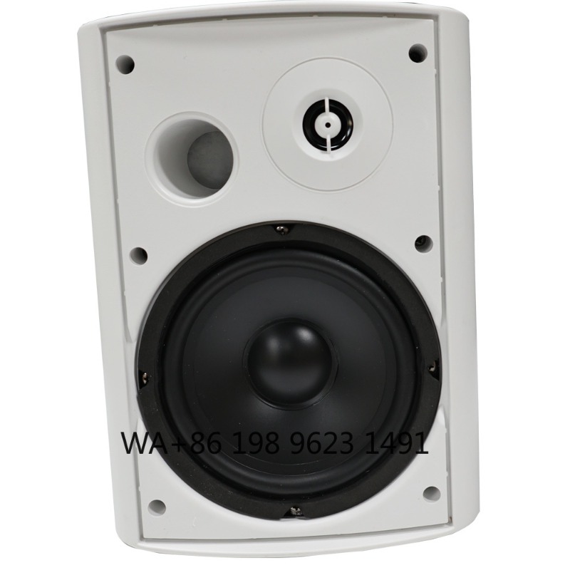 5.1 Wireless WiFi Wall Ceiling - đánh giá và giá Home Theater Speaker