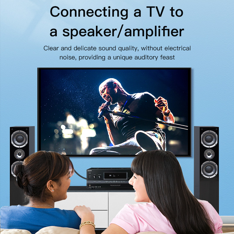 CHOSEAL RCA Cable Digital Coax - đánh giá và giá Home Cinema Solution